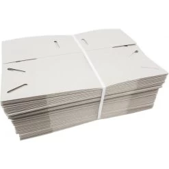 50 Boites En Carton Pour Le Transport De Petits Oiseaux