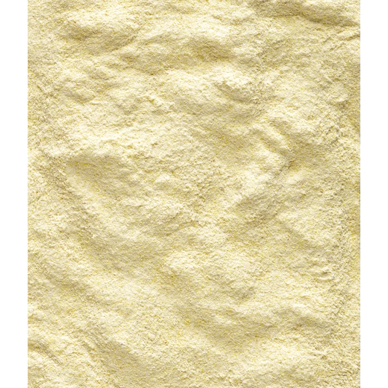 A18 Lori - Elevage à La Main Pour Toutes Sortes D'oisillons Loris, Loriculus 800gr - Nutribird 4 A18 Lori - Elevage à La Main Pour Toutes Sortes D'oisillons Loris, Loriculus 800gr - Nutribird – Image 2