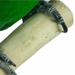 Aire De Jeux En Bois De Java Avec Socle - Medium - Back Zoo Nature -Oiseaux Fournitures Magasin aire de jeux en bois de java avec socle medium back zoo nature zf1113 back zoo nature aire de jeux en bois de java avec socle et 6