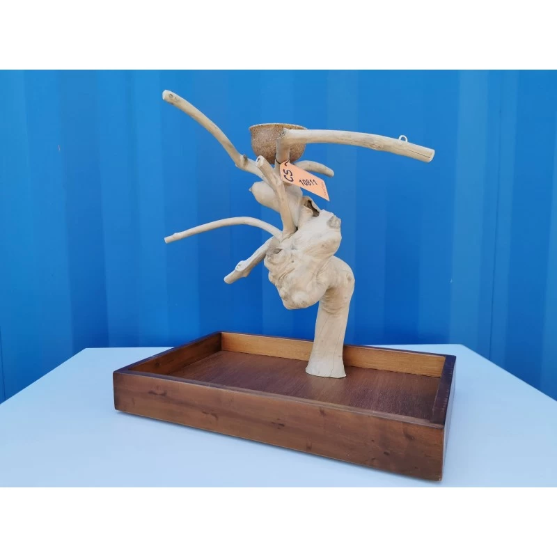 Aire De Jeux En Bois De Java Avec Socle - Small - Back Zoo Nature 4 Aire De Jeux En Bois De Java Avec Socle - Small - Back Zoo Nature – Image 2