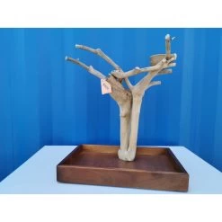 Aire De Jeux En Bois De Java Avec Socle - Small - Back Zoo Nature 13 Aire De Jeux En Bois De Java Avec Socle - Small - Back Zoo Nature -Oiseaux Fournitures Magasin aire de jeux en bois de java avec socle small back zoo nature zf1112 back zoo nature aire de jeux en bois de java avec socle et 1 3