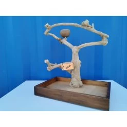 Aire De Jeux En Bois De Java Avec Socle - Small - Back Zoo Nature 14 Aire De Jeux En Bois De Java Avec Socle - Small - Back Zoo Nature -Oiseaux Fournitures Magasin aire de jeux en bois de java avec socle small back zoo nature zf1112 back zoo nature aire de jeux en bois de java avec socle et 1 4