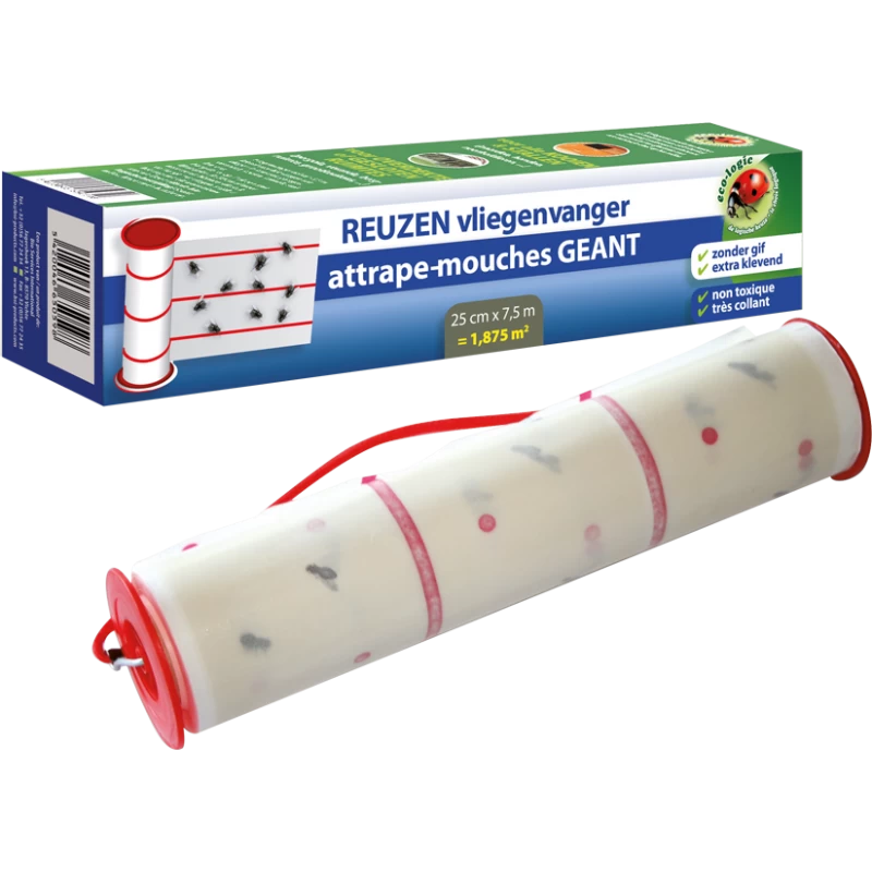 Attrape Mouches Géant - BSI 3 Attrape Mouches Géant - BSI