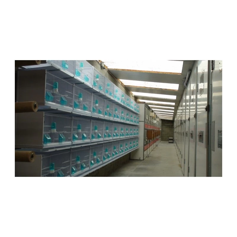 Batterie De 12 Cages 64x30x34 Modèle Champion- New Canariz 21 Batterie De 12 Cages 64x30x34 Modèle Champion- New Canariz – Image 19