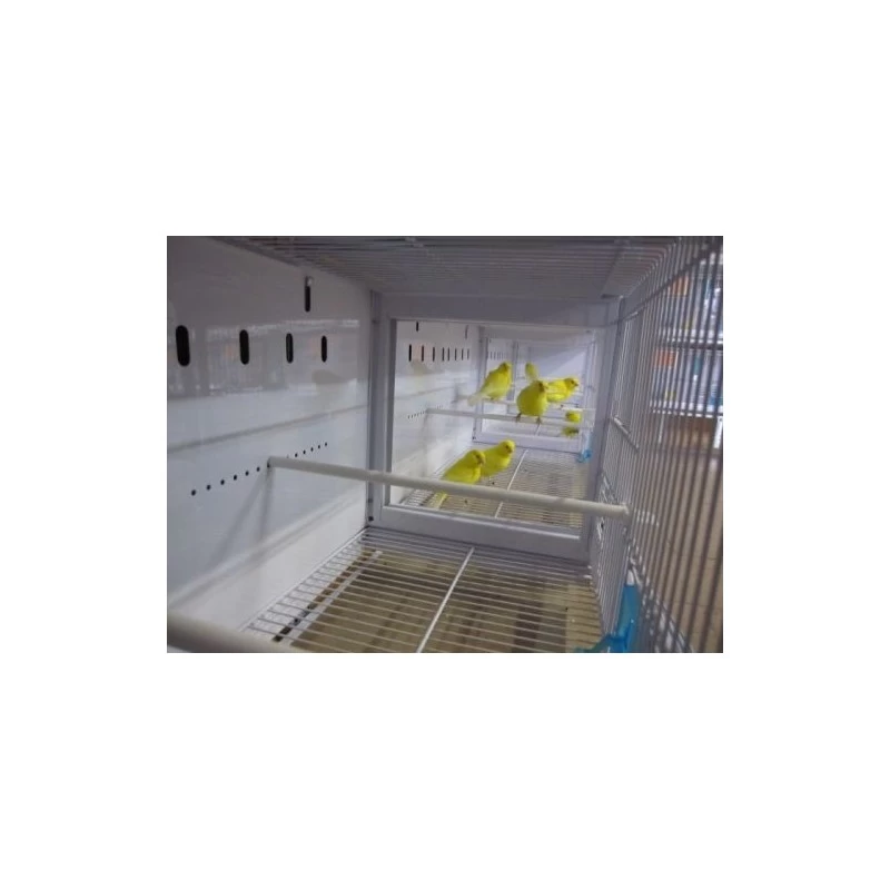 Batterie De 12 Cages 64x30x34 Modèle Champion- New Canariz 7 Batterie De 12 Cages 64x30x34 Modèle Champion- New Canariz – Image 5