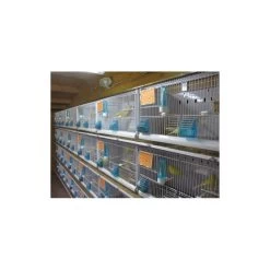 Batterie De 12 Cages 64x30x34 Modèle Champion- New Canariz 27 Batterie De 12 Cages 64x30x34 Modèle Champion- New Canariz -Oiseaux Fournitures Magasin batterie de 12 cages 64x30x34 modele champion new canariz 3000 new canariz livree avec un systeme de rouleaux de papier comme fo 5