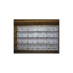 Batterie De 12 Cages 64x30x34 Modèle Champion- New Canariz 31 Batterie De 12 Cages 64x30x34 Modèle Champion- New Canariz -Oiseaux Fournitures Magasin batterie de 12 cages 64x30x34 modele champion new canariz 3000 new canariz livree avec un systeme de rouleaux de papier comme fo 9
