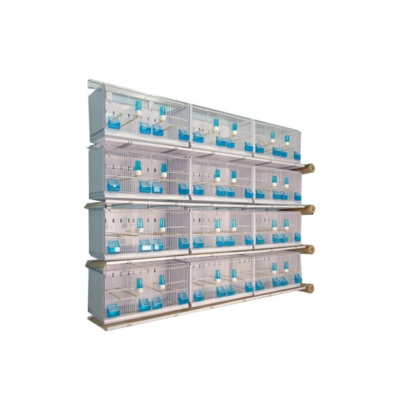 Batterie De 12 Cages 64x30x34 Modèle Champion- New Canariz 3 Batterie De 12 Cages 64x30x34 Modèle Champion- New Canariz
