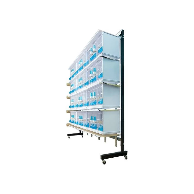 Batteries De 12 Cages 58x30x36 - Modèle Victoria - New Canariz 4 Batteries De 12 Cages 58x30x36 - Modèle Victoria - New Canariz – Image 2