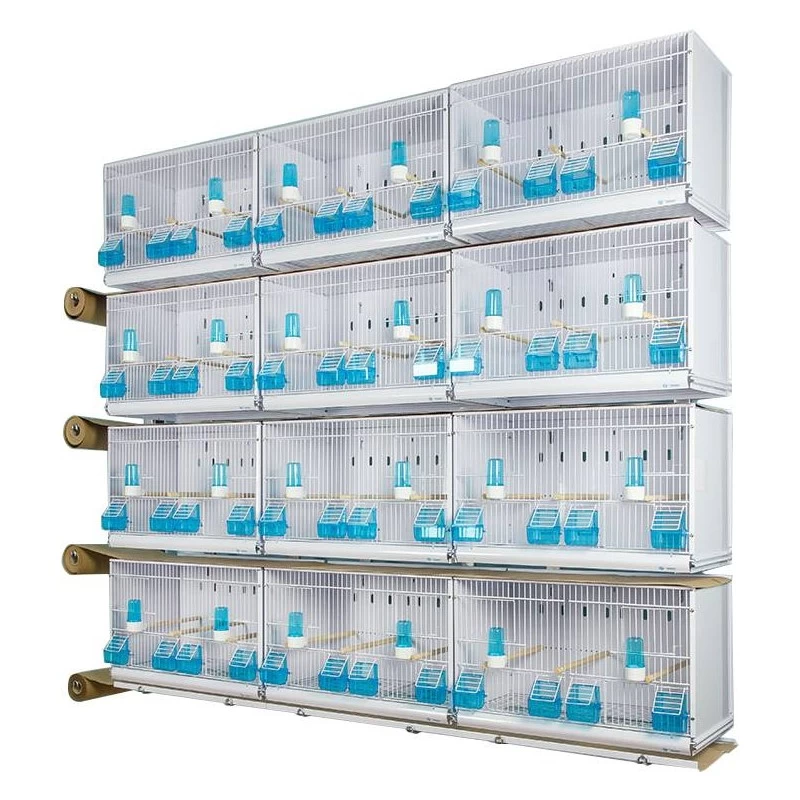 Batteries De 12 Cages 58x30x36 - Modèle Victoria - New Canariz 3 Batteries De 12 Cages 58x30x36 - Modèle Victoria - New Canariz