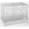 Cage Domus Molinari Blanc 42x26x33cm 1 Cage Domus Molinari Blanc 42x26x33cm -Oiseaux Fournitures Magasin cage domus molinari blanc 42x26x33cm 1560030 domus molinari cage domus molinari blanc dimension 42 x 26 x 33cm