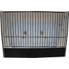 Cage Exposition Caille Noir En PVC