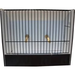 Cage Exposition Canari Noir En PVC