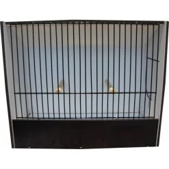 Cage Exposition Indigène Noir 18 Cm En PVC