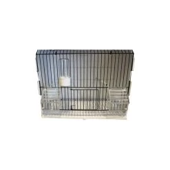 Cage Exposition Plastique 36x17x30cm - 2G-R 13 Cage Exposition Plastique 36x17x30cm - 2G-R -Oiseaux Fournitures Magasin cage exposition plastique 36x17x30cm 2g r art 315fn3 2g r cage de preparation avec facade noire 1 porte centrale avec ressort et 5