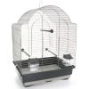 Cage Pour Oiseaux Antonio -Oiseaux Fournitures Magasin cage pour oiseaux antonio 15191 kinlys cage pour oiseaux antonio dimensions 45 x 34 x 60 cm