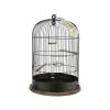 Cage "Retro" Lisette Diam.35cm 2 Cage "Retro" Lisette Diam.35cm -Oiseaux Fournitures Magasin cage retro lisette diam35cm 104860 zolux cage retro lisetteune cage vintage pour les oiseaux crochet de suspension en metal plat