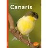 Canaris - Renaud LACROIX -Oiseaux Fournitures Magasin canaris renaud lacroix 1389384 ulmer canarisrenaud lacroix100 illustrations 160 pagesisbn 9782841389384annee dedition 2018sa viv