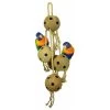 Coconut Chain XL 70cm - Back Zoo Nature -Oiseaux Fournitures Magasin coconut chain xl 70cm back zoo nature zf1365 back zoo nature coconut chain xl 70 cm back zoo nature