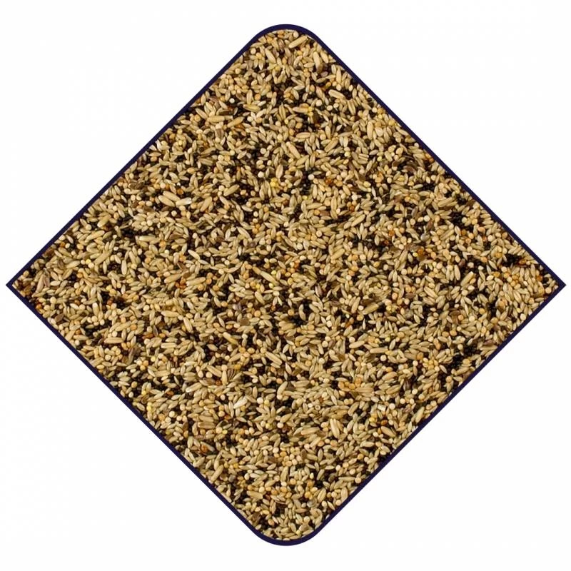 Expert Base Canaris 20kg - Witte Molen 4 Expert Base Canaris 20kg - Witte Molen – Image 2