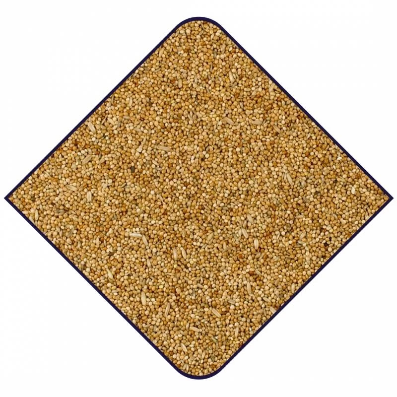 Expert Base Perruches 20kg - Witte Molen 4 Expert Base Perruches 20kg - Witte Molen – Image 2