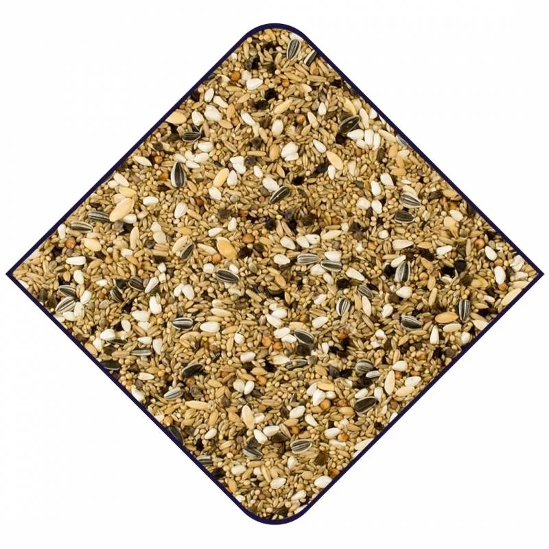 Expert Pyrrhuras 20kg - Witte Molen 4 Expert Pyrrhuras 20kg - Witte Molen â Image 2