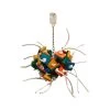 Extreme Boule De Feu 35x25cm - Zoo-Max -Oiseaux Fournitures Magasin extreme boule de feu 35x25cm zoo max zm 759 zoo max zoo max extreme boule de feu mediumzoo max extreme fireball medium une boule