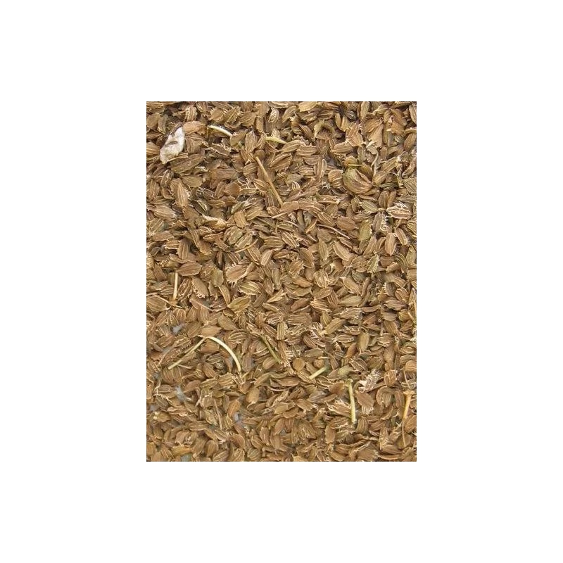 Graines De Carotte 20kg - Grizo 3 Graines De Carotte 20kg - Grizo