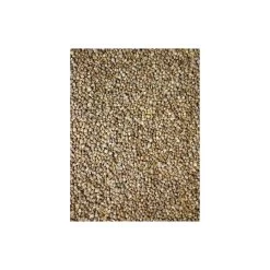 Graines D'épinard 15kg - Grizo