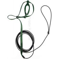 Harnais Pour Perroquet AVIATOR X-Large Vert 6 Harnais Pour Perroquet AVIATOR X-Large Vert -Oiseaux Fournitures Magasin harnais pour perroquet aviator x large vert exavixlvert the aviator flight line description harnais pour perroquet aviator diffe 1