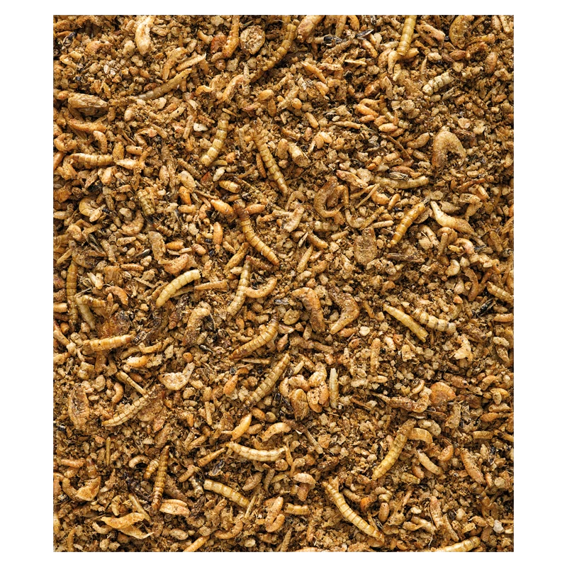 Insect Patée Premium Aliment Complet Pour Oiseaux Insectivores 2kg - Nutribird 4 Insect Patée Premium Aliment Complet Pour Oiseaux Insectivores 2kg - Nutribird – Image 2