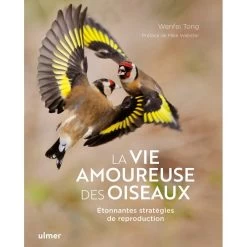 La Vie Amoureuse Des Oiseaux Étonnantes Stratégies De Reproduction - Wenfei TONG& Mike WEBSTER