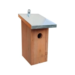 Le Plus Hivernal Toit En Bois Massif