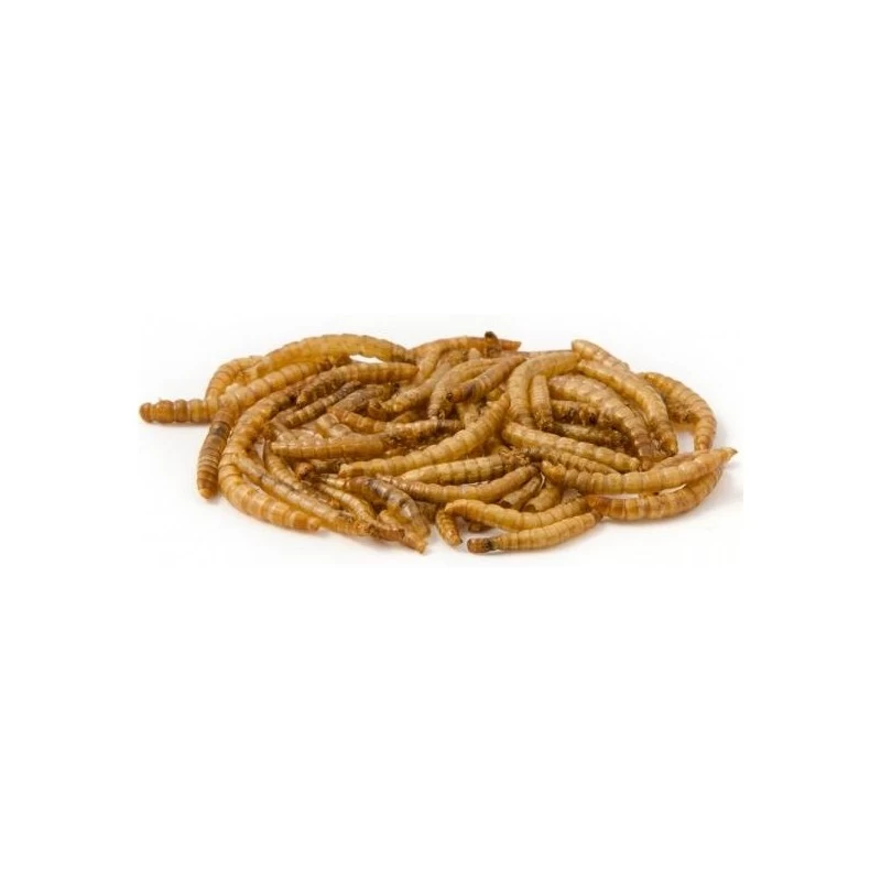 Mealworm, Vers De Farine Déshydratés 5kg 3 Mealworm, Vers De Farine Déshydratés 5kg