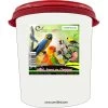 Millet En Grappes En Seau De 5kg - Ornibird -Oiseaux Fournitures Magasin millet en grappes en seau de 5kg ornibird 700230 private label ornibird le millet rentre dans lalimentation de tous les oiseaux