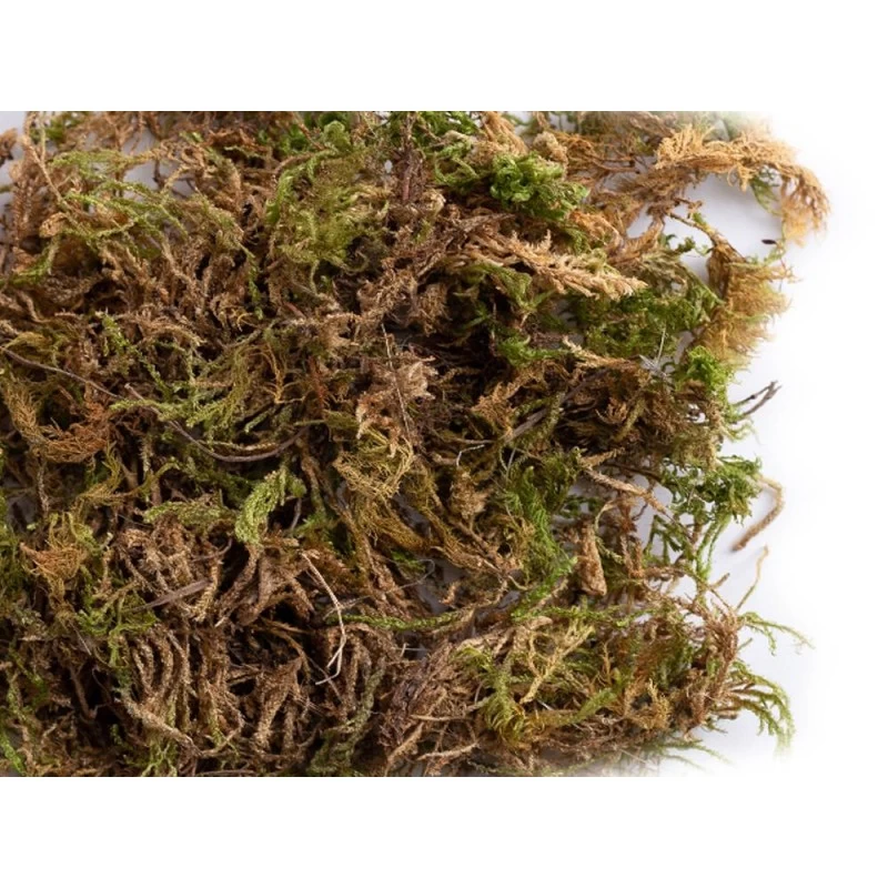 Mousse 6 Litres - Sisal Fibre 3 Mousse 6 Litres - Sisal Fibre