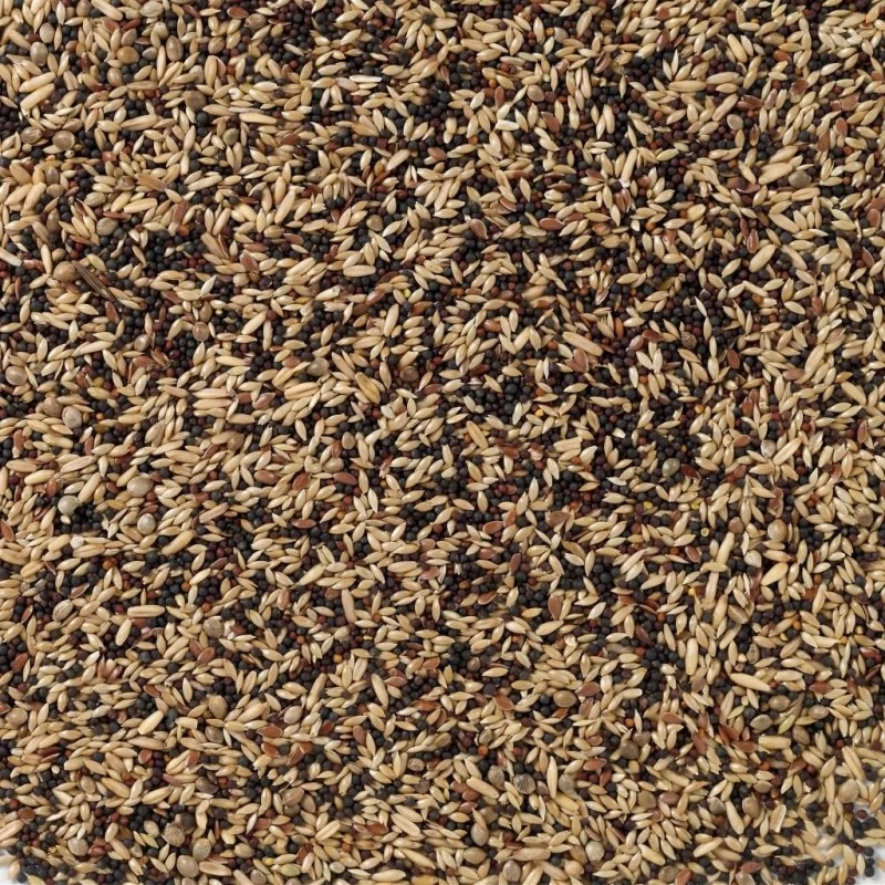 N°50 Canaris Base 20kg - Deli Nature 4 N°50 Canaris Base 20kg - Deli Nature – Image 2