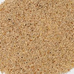 N°51 Perruches Base 20kg - Deli Nature -Oiseaux Fournitures Magasin n51 perruches base 20kg deli nature 006451 deli nature est un melange standard pour perruches ingredients millet jaune 45 millet 1