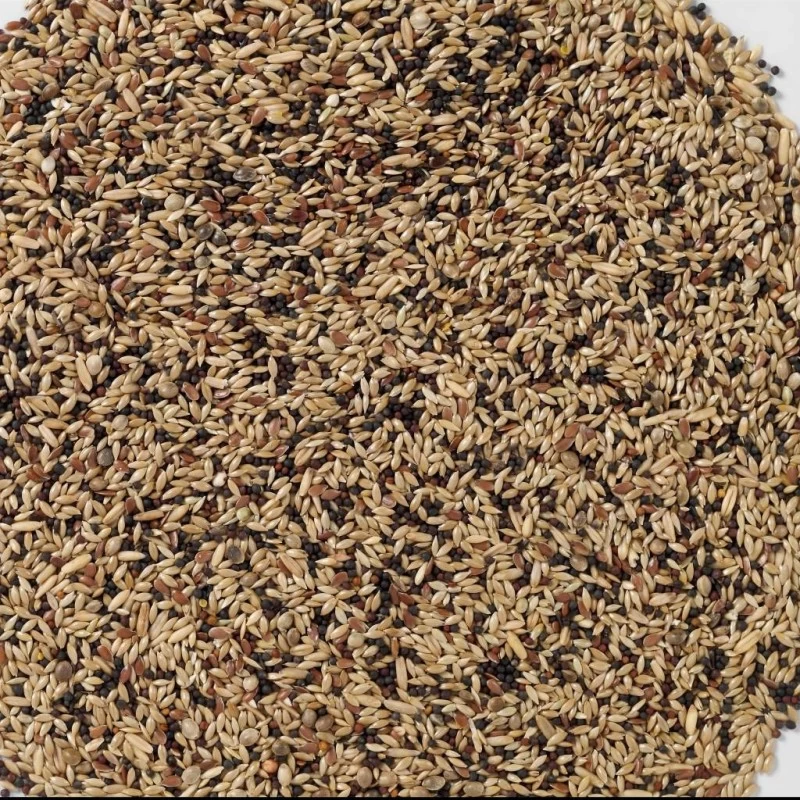 N°53 Canaris Extra 20kg - Deli Nature 4 N°53 Canaris Extra 20kg - Deli Nature – Image 2