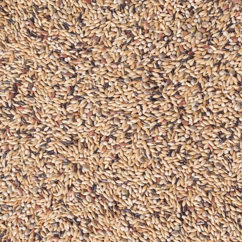 N°54 Canaris Elevage Avec Perilla Blanc 20kg - Deli Nature 4 N°54 Canaris Elevage Avec Perilla Blanc 20kg - Deli Nature – Image 2