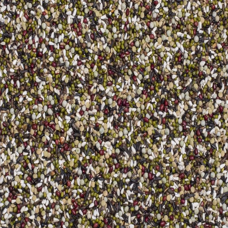 N°63 Graines à Germer Indigènes Et Perruches 15kg - Deli Nature 4 N°63 Graines à Germer Indigènes Et Perruches 15kg - Deli Nature – Image 2