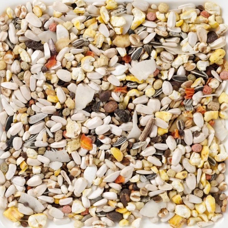 N°64 Perroquets Supreme Fruit 15kg - Deli Nature 4 N°64 Perroquets Supreme Fruit 15kg - Deli Nature – Image 2