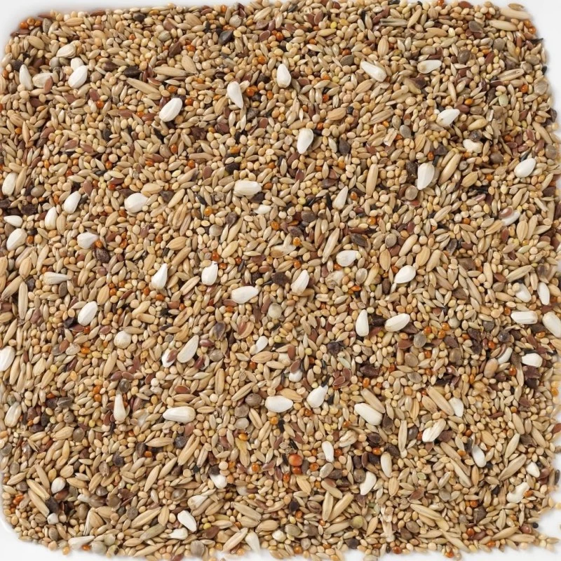 N°68 Grandes Perruches Sans Tournesols 20kg - Deli Nature 4 N°68 Grandes Perruches Sans Tournesols 20kg - Deli Nature – Image 2