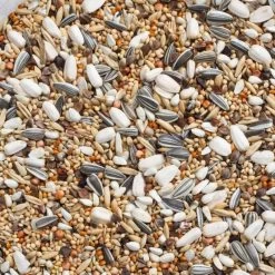 N°69 Grandes Perruches Avec Tournesols 20kg - Deli Nature 5 N°69 Grandes Perruches Avec Tournesols 20kg - Deli Nature -Oiseaux Fournitures Magasin n69 grandes perruches avec tournesols 20kg deli nature 006469 deli nature est un melange tres varie contenant 10 de graines de t 1