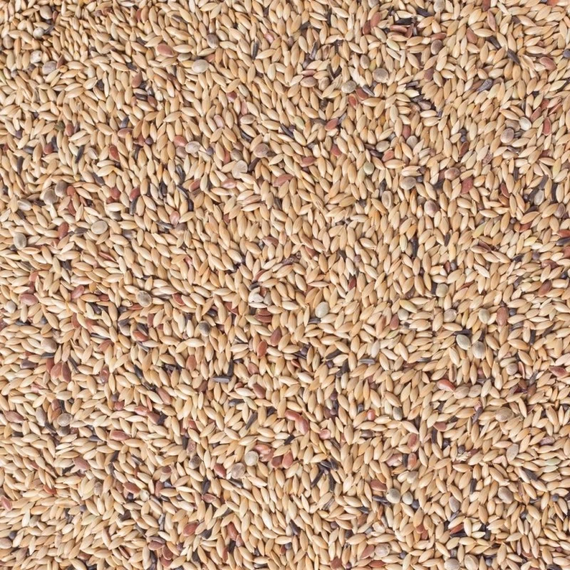 N°81 Canaris Light Sans Navettes 20kg - Deli Nature 4 N°81 Canaris Light Sans Navettes 20kg - Deli Nature – Image 2