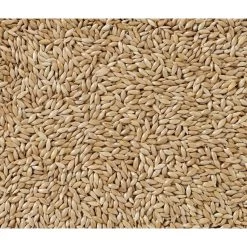 N°86 Alpistes Extra 20kg - Deli Nature -Oiseaux Fournitures Magasin n86 alpistes extra 20kg deli nature 002986 deli nature n86 alpistes extra 20kg deli nature 1