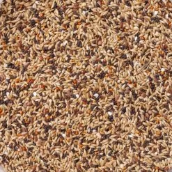 N°92 Pinsons Sport 20kg - Deli Nature -Oiseaux Fournitures Magasin n92 pinsons sport 20kg deli nature 006592 deli nature est un melange adapte aux besoins de votre pinson pendant la periode sport 1