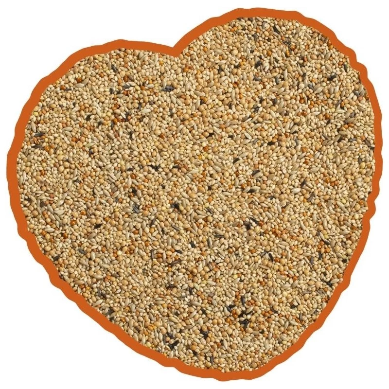 Oiseau Tropical Mix 4kg - Duvo+ 4 Oiseau Tropical Mix 4kg - Duvo+ – Image 2