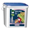 VERSELE-LAGA Orlux Gold Patee Grandes Perruches & Perroquets 5kg - Pâtée Aux Oeufs - Grandes Perruches, Perroquets, Cacatoès, Aras 2 VERSELE-LAGA Orlux Gold Patee Grandes Perruches & Perroquets 5kg - Pâtée Aux Oeufs - Grandes Perruches, Perroquets, Cacatoès, Aras -Oiseaux Fournitures Magasin orlux gold patee grandes perruches perroquets 5kg patee aux oeufs grandes perruches perroquets cacatoes aras 424081 versele laga