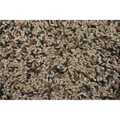 Deli Nature ORNIBIRD - CANARIS PRO DIGEST 20kg, Mélange Haute Qualité Pour Canaris 6 Deli Nature ORNIBIRD - CANARIS PRO DIGEST 20kg, Mélange Haute Qualité Pour Canaris -Oiseaux Fournitures Magasin ornibird canaris pro digest 20kg melange haute qualite pour canaris 700126 deli nature nouveau melange ornibird lance son premie 1